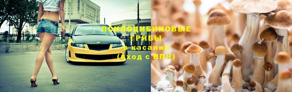стафф Алексин