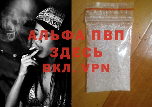 стафф Алексин