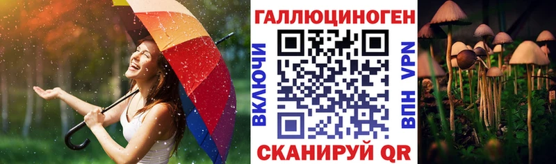 Галлюциногенные грибы MAGIC MUSHROOMS Курчалой