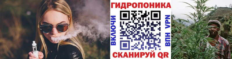Бошки марихуана THC 21% наркошоп Курчалой